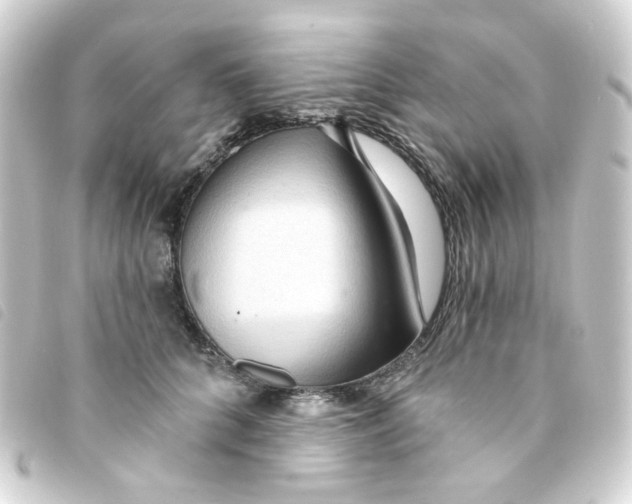 X0000093250704200710241314