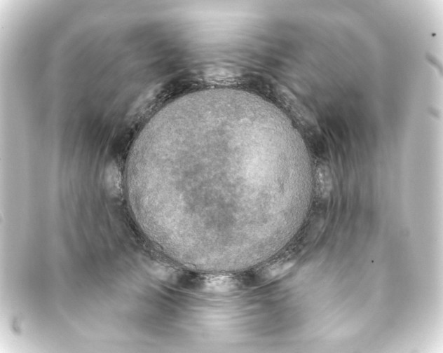 X0000093250705200710241314