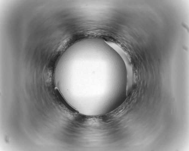 X0000093250708200710241314