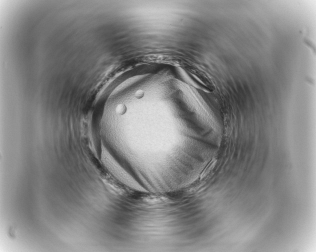 X0000093250712200710241314