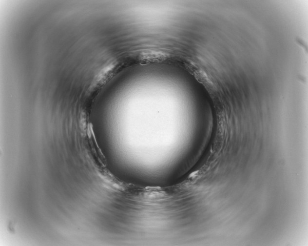 X0000093250716200710241314