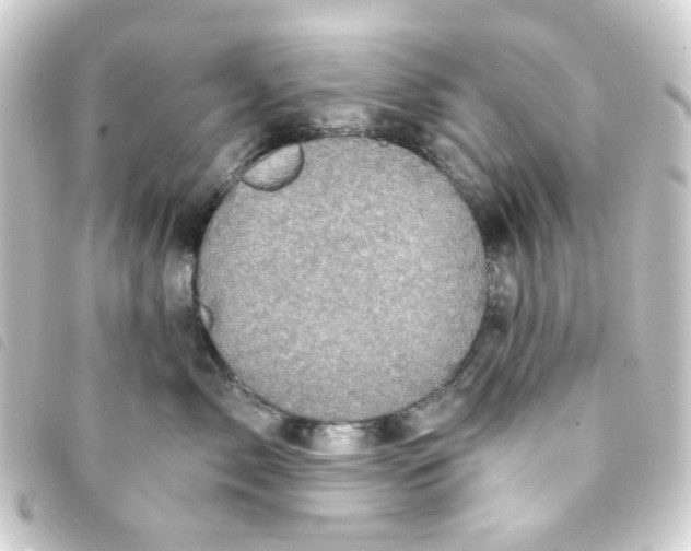 X0000093250717200710241314