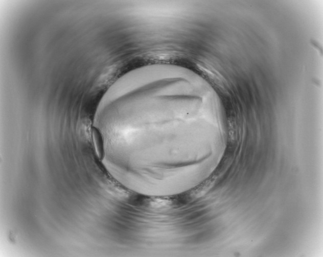 X0000093250718200710241314