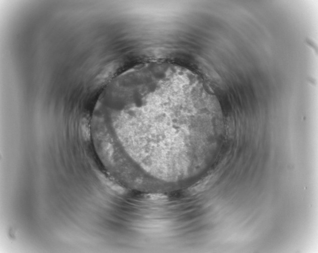 X0000093250719200710241314