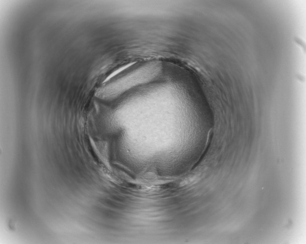 X0000093250720200710241314