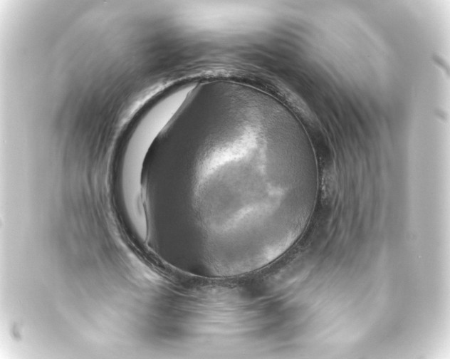 X0000093250722200710241314