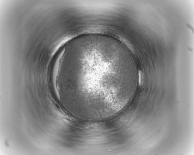 X0000093250723200710241314