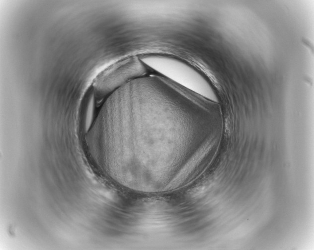 X0000093250724200710241314