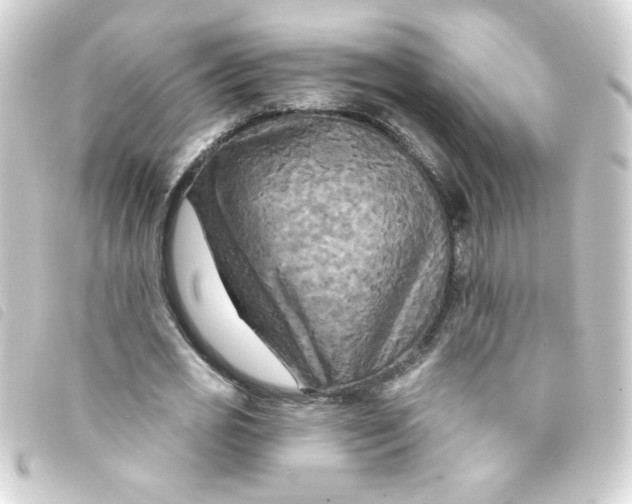 X0000093250725200710241314