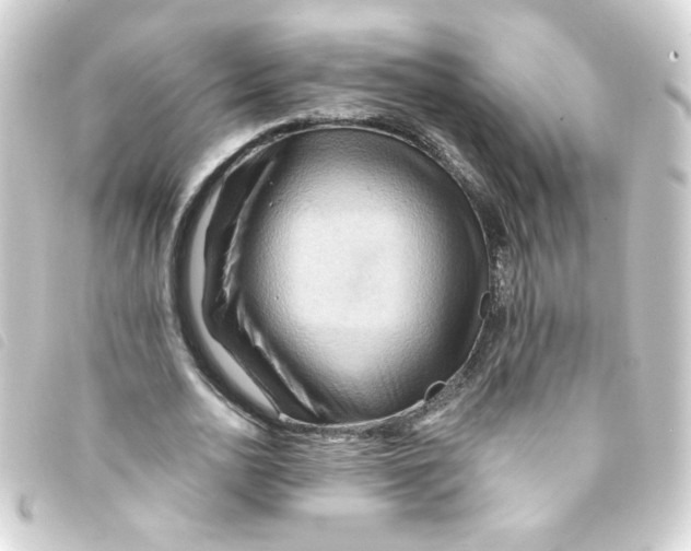 X0000093250726200710241314