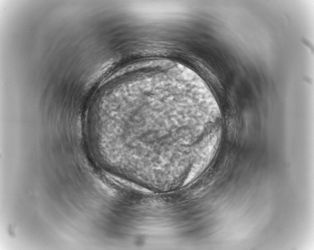 X0000093250729200710241314