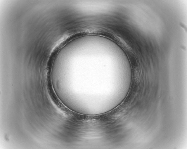 X0000093250730200710241314