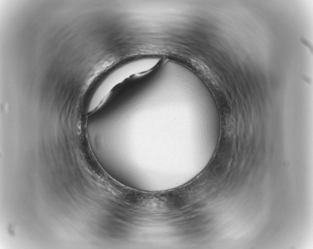 X0000093250731200710241314