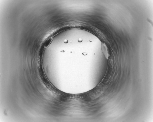 X0000093250732200710241314