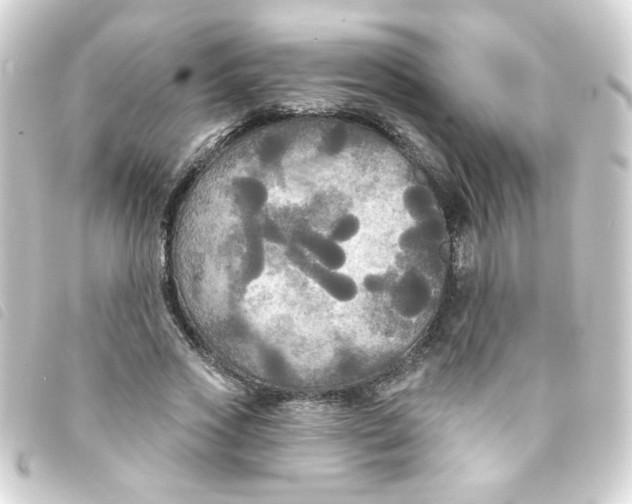 X0000093250733200710241314