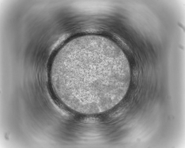 X0000093250734200710241314