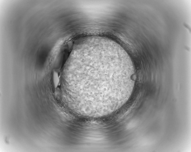 X0000093250737200710241314