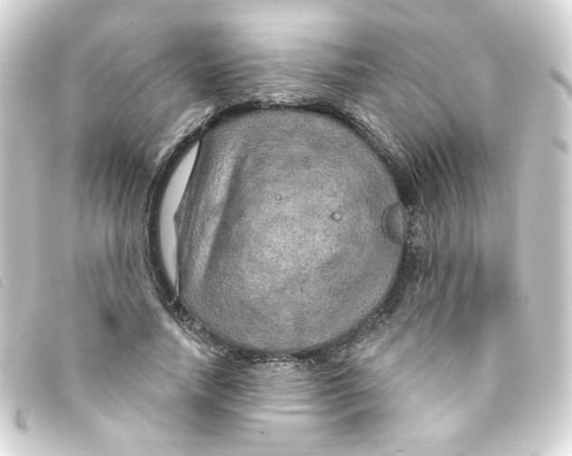 X0000093250738200710241314