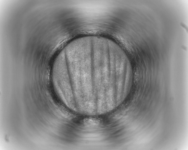 X0000093250739200710241314