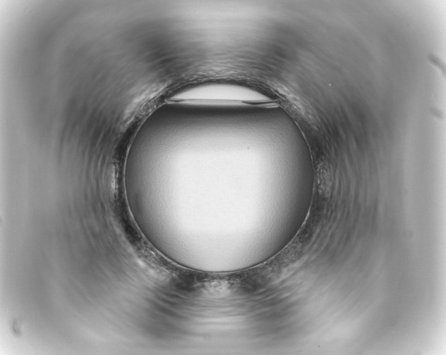 X0000093250740200710241314