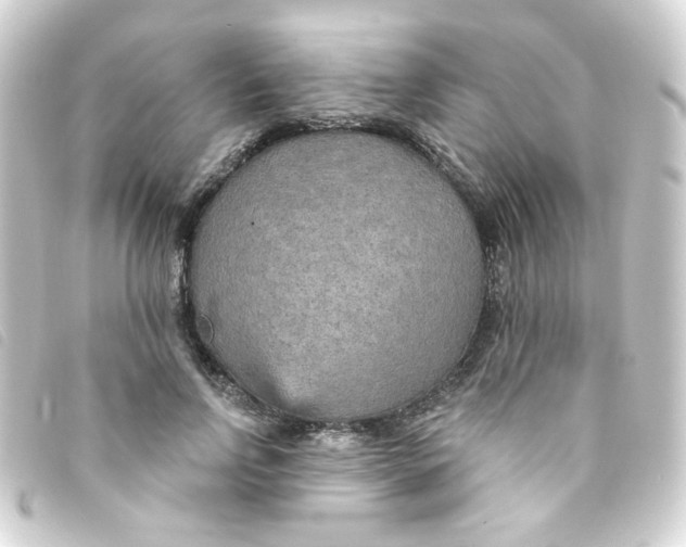 X0000093250742200710241314