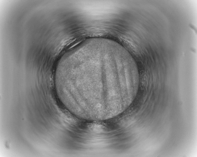 X0000093250743200710241314