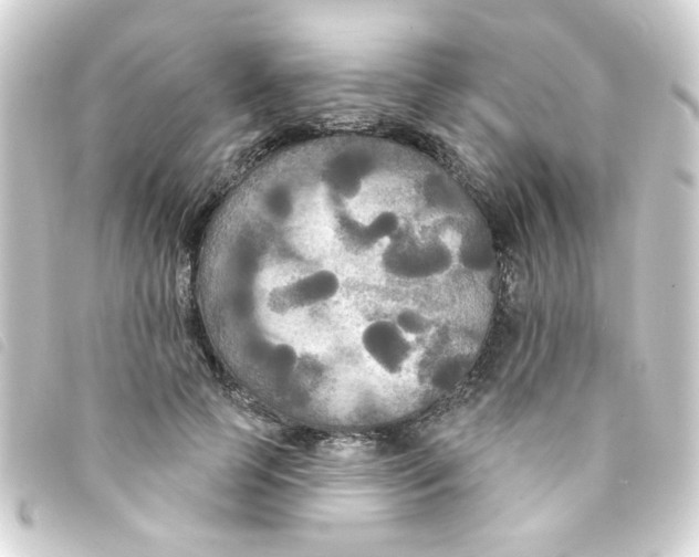 X0000093250745200710241314