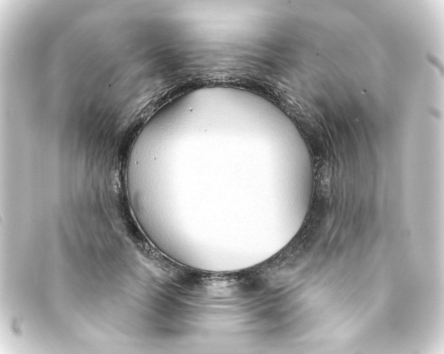 X0000093250746200710241314