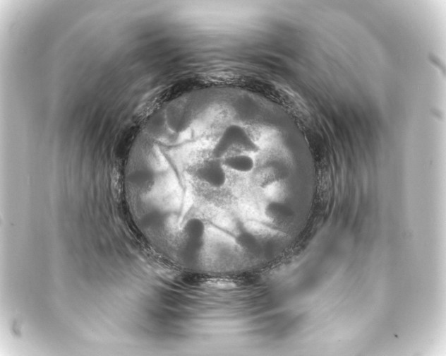 X0000093250749200710241314