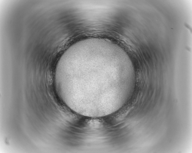 X0000093250751200710241314