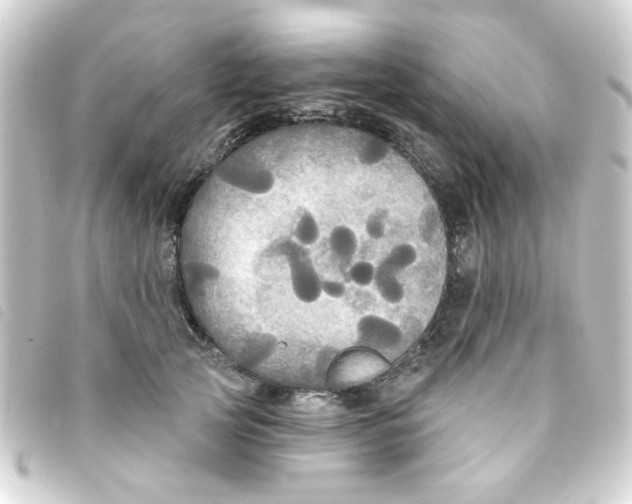 X0000093250753200710241314