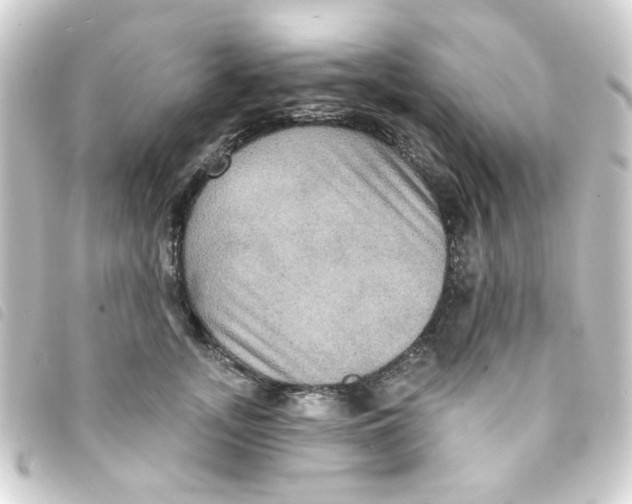 X0000093250755200710241314