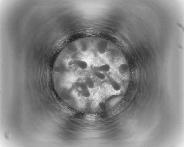 X0000093250757200710241314