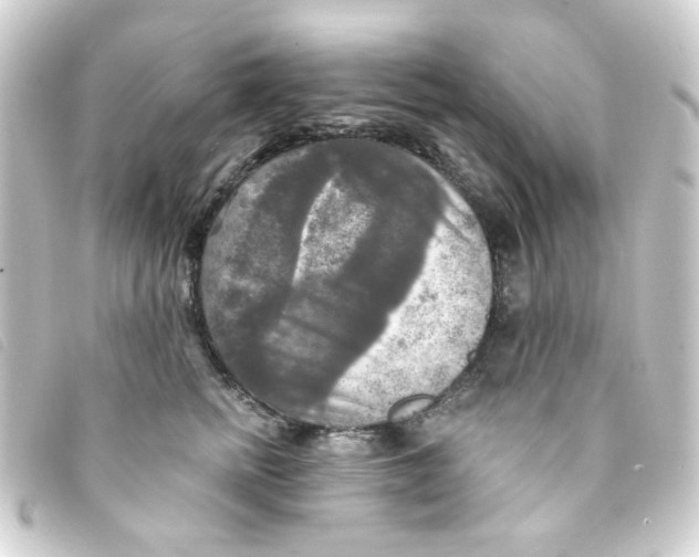 X0000093250758200710241314