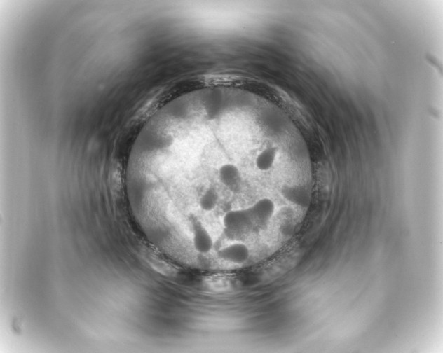 X0000093250761200710241314