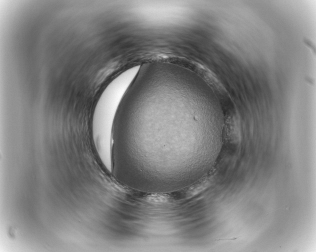 X0000093250762200710241314