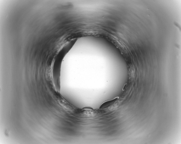 X0000093250764200710241314