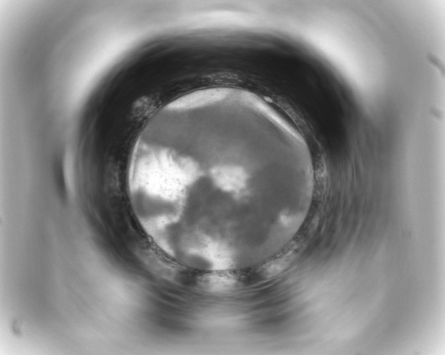 X0000093250765200710241314