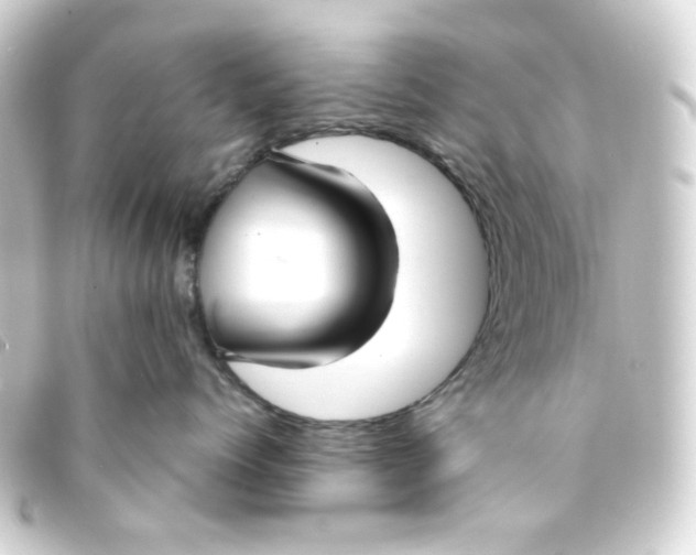 X0000093250768200710241314