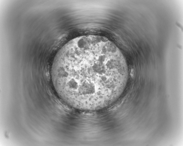 X0000093250771200710241313