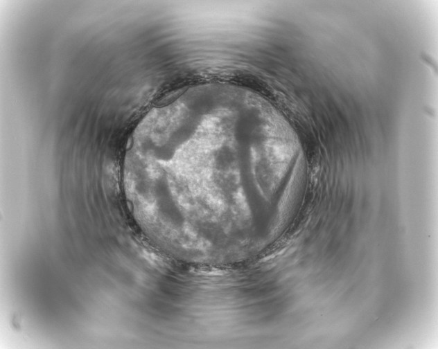 X0000093250772200710241313