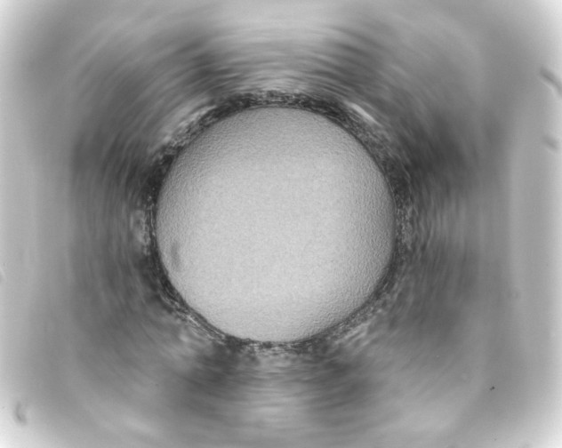 X0000093250774200710241313