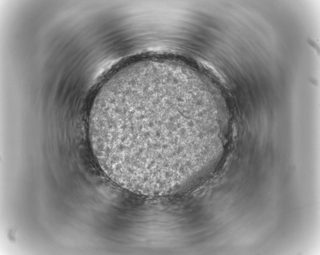 X0000093250776200710241313