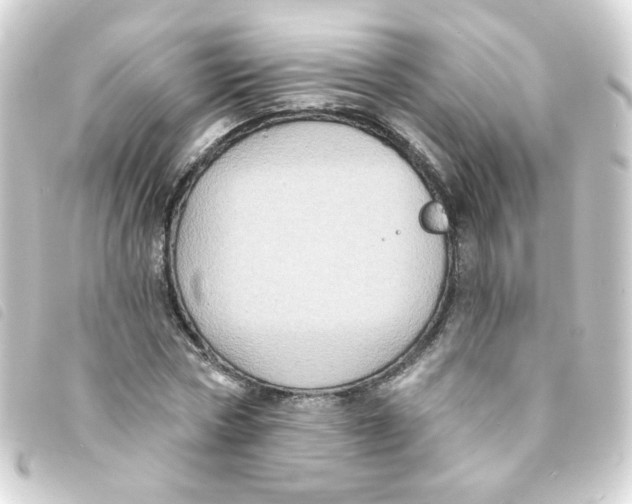 X0000093250778200710241313