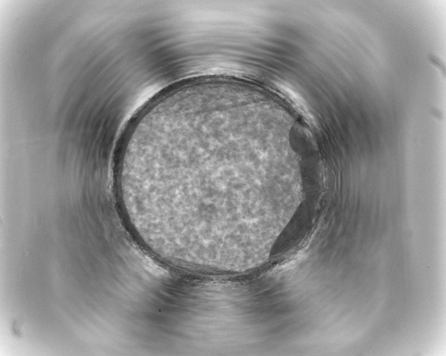 X0000093250780200710241313