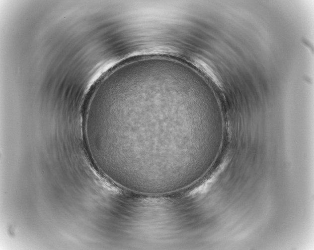 X0000093250781200710241313