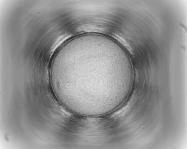 X0000093250782200710241313