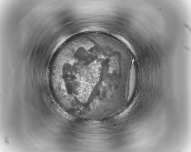 X0000093250783200710241313