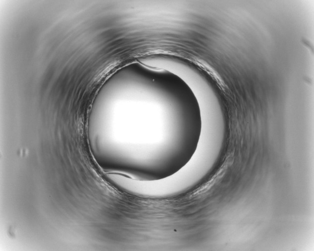 X0000093250785200710241313