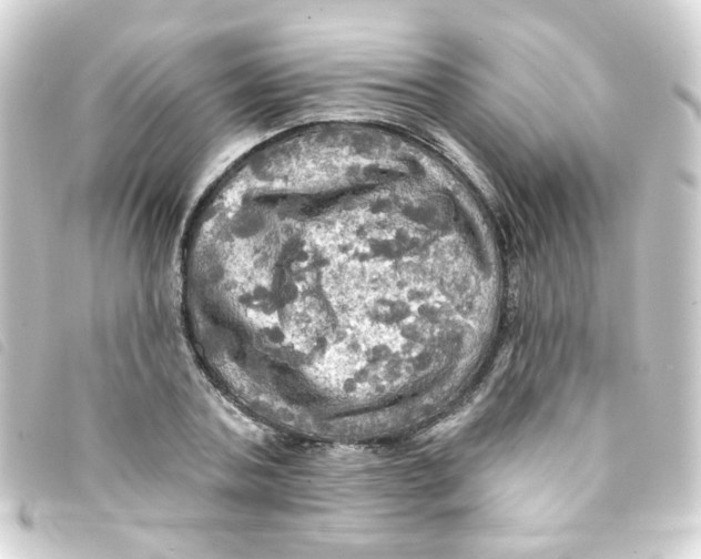 X0000093250787200710241313